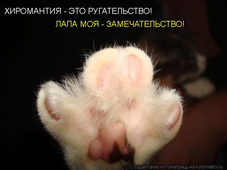 ХИРОМАНТИЯ - ЭТО РУГАТЕЛЬСТВО! ЛАПА МОЯ - ЗАМЕЧАТЕЛЬСТВО!... Котоматрица: ХИРОМАНТИЯ - ЭТО РУГАТЕЛЬСТВО! ЛАПА МОЯ - ЗАМЕЧАТЕЛЬСТВО!