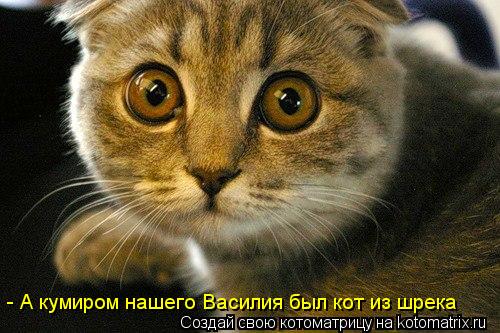 - А кумиром нашего Василия был кот из шрека... Котоматрица: - А кумиром нашего Василия был кот из шрека
