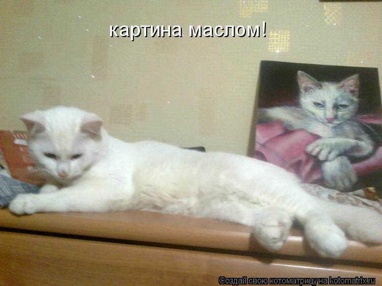 картина маслом!... Котоматрица: картина маслом!