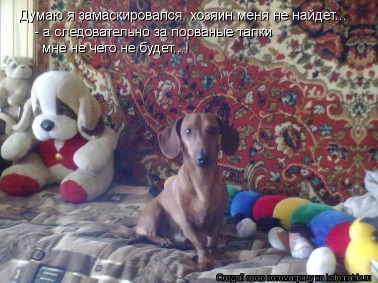 Думаю я замаскировался, хозяин меня не найдет... - а следовательно за порваные тапки мне не чего не... Котоматрица: Думаю я замаскировался, хозяин меня не найдет... - а следовательно за порваные тапки мне не чего не будет...!