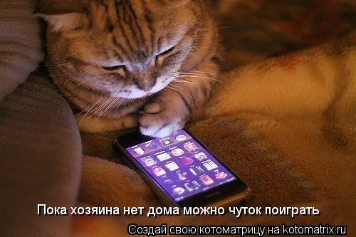 Пока хозяина нет дома можно чуток поиграть... Котоматрица: Пока хозяина нет дома можно чуток поиграть