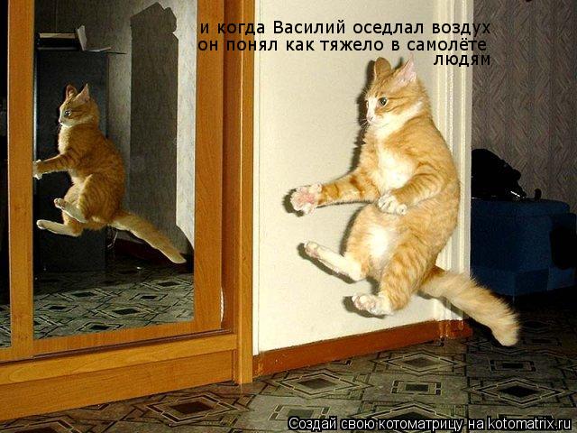 и когда Василий оседлал воздух он понял как тяжело в самолёте людям... Котоматрица: и когда Василий оседлал воздух он понял как тяжело в самолёте людям