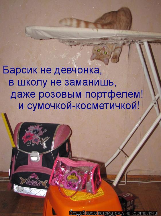 Барсик не девчонка, в школу не заманишь, даже розовым портфелем! и сумочкой-косметичкой!... Котоматрица: Барсик не девчонка, в школу не заманишь, даже розовым портфелем! и сумочкой-косметичкой!