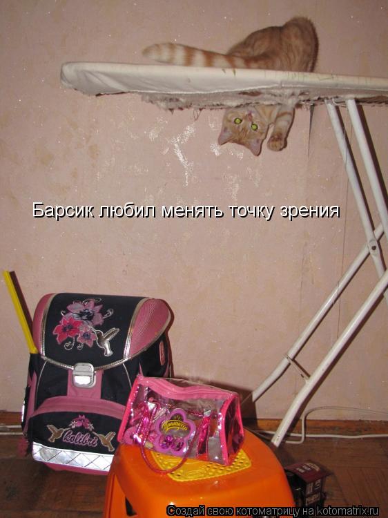 Барсик любил менять точку зрения... Котоматрица: Барсик любил менять точку зрения