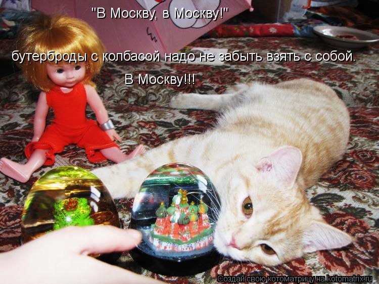 "В Москву, в Москву!" бутерброды с колбасой надо не забыть взять с собой. В Москву!!!... Котоматрица: "В Москву, в Москву!" бутерброды с колбасой надо не забыть взять с собой. В Москву!!!