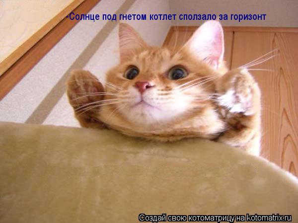 -Солнце под гнетом котлет сползало за горизонт... Котоматрица: -Солнце под гнетом котлет сползало за горизонт
