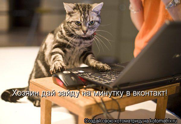 Хозяин дай зайду на минутку в вконтакт!... Котоматрица: Хозяин дай зайду на минутку в вконтакт!