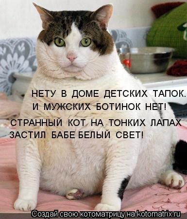 НЕТУ В ДОМЕ ДЕТСКИХ ТАПОК.... И МУЖСКИХ БОТИНОК НЕТ! СТРАННЫЙ КОТ НА ТОНКИХ ЛАПАХ ЗАСТИЛ ... Котоматрица: НЕТУ В ДОМЕ ДЕТСКИХ ТАПОК.... И МУЖСКИХ БОТИНОК НЕТ! СТРАННЫЙ КОТ НА ТОНКИХ ЛАПАХ ЗАСТИЛ БАБЕ БЕЛЫЙ СВЕТ!