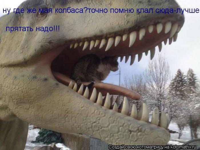 ну где же мая колбаса?точно помню клал сюда-лучше прятать надо!!!... Котоматрица: ну где же мая колбаса?точно помню клал сюда-лучше прятать надо!!!