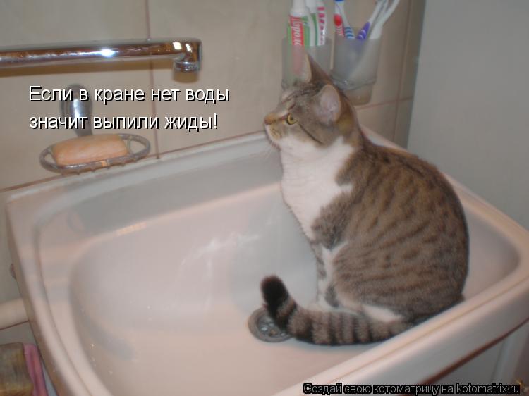 Если в кране нет воды значит выпили жиды!... Котоматрица: Если в кране нет воды значит выпили жиды!