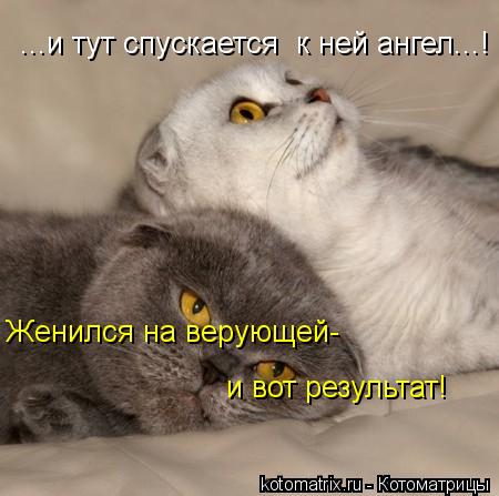 ...и тут спускается к ней ангел...! Женился на верующей- и вот результат!... Котоматрица: ...и тут спускается к ней ангел...! Женился на верующей- и вот результат!