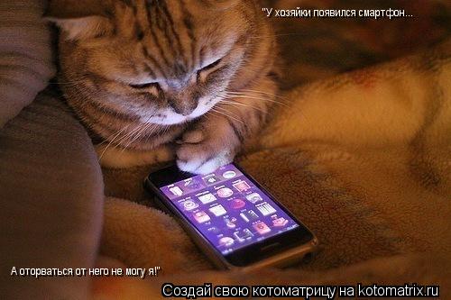 "У хозяйки появился смартфон... А оторваться от него не могу я!"... Котоматрица: "У хозяйки появился смартфон... А оторваться от него не могу я!"
