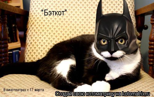 "Бэткот" В кинотеатрах с 17 марта... Котоматрица: "Бэткот" В кинотеатрах с 17 марта