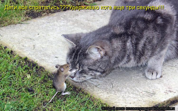 Дети,все спрятались???Удерживаю кота еще три секунды!!!... Котоматрица: Дети,все спрятались???Удерживаю кота еще три секунды!!!