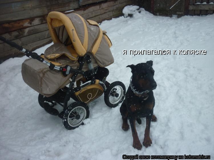 я прилагался к коляске... Котоматрица: я прилагался к коляске