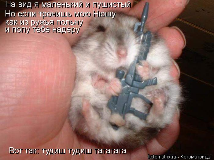 На вид я маленький и пушистый Но если тронишь мою Нюшу как из ружья польну и попу тебе надеру Вот так... Котоматрица: На вид я маленький и пушистый Но если тронишь мою Нюшу как из ружья польну и попу тебе надеру Вот так: тудиш тудиш тататата
