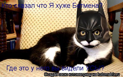 Кто сказал что Я хуже Бетмена? Где это у него вы видели УСЫ?... Котоматрица: Кто сказал что Я хуже Бетмена? Где это у него вы видели УСЫ?