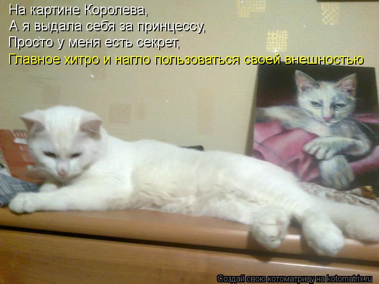 На картине Королева, А я выдала себя за принцессу, Просто у меня есть секрет, Главное хитро и нагло п... Котоматрица: На картине Королева, А я выдала себя за принцессу, Просто у меня есть секрет, Главное хитро и нагло пользоваться своей внешностью