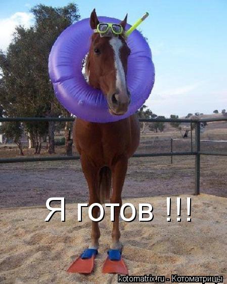 Я готов !!!... Котоматрица: Я готов !!!
