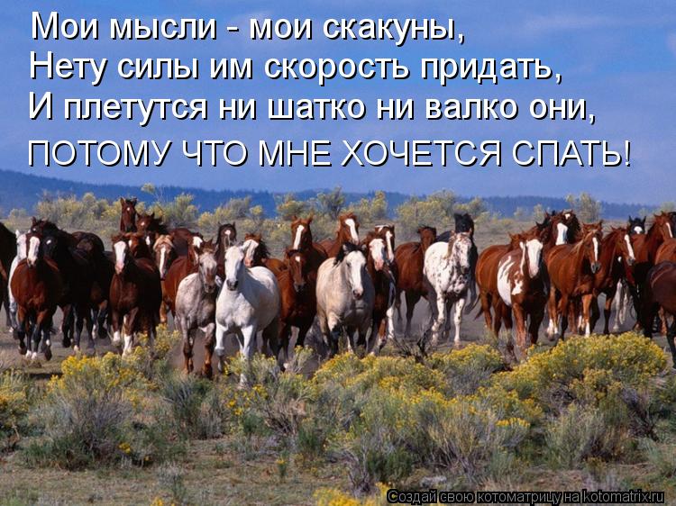Мои мысли - мои скакуны, Нету силы им скорость придать, И плетутся ни шатко ни валко они, ПОТОМУ ЧТО... Котоматрица: Мои мысли - мои скакуны, Нету силы им скорость придать, И плетутся ни шатко ни валко они, ПОТОМУ ЧТО МНЕ ХОЧЕТСЯ СПАТЬ!