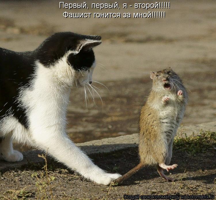 Первый, первый, я - второй!!!!! Фашист гонится за мной!!!!!!... Котоматрица: Первый, первый, я - второй!!!!! Фашист гонится за мной!!!!!!
