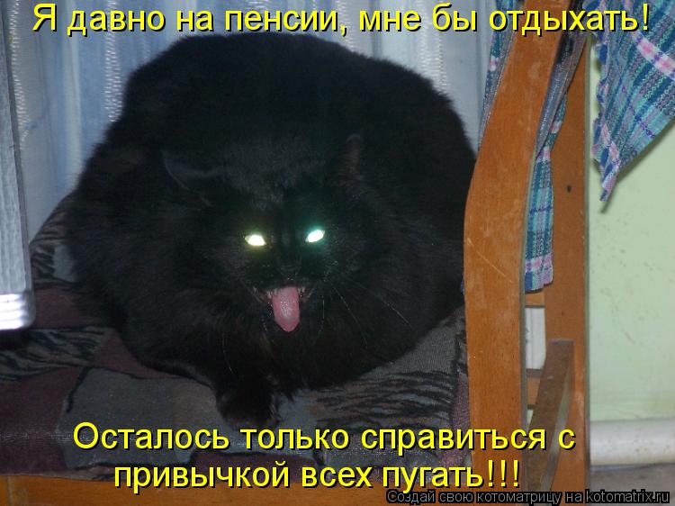 Осталось только справиться с Я давно на пенсии, мне бы отдыхать! привычкой всех пугать!!!... Котоматрица: Осталось только справиться с Я давно на пенсии, мне бы отдыхать! привычкой всех пугать!!!