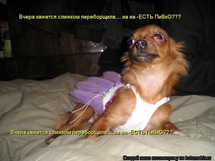 Вчера кажется слижком переборщила.....иа иа -ЕСТЬ ПиВкО??? Вчера кажется слижком переборщила.....иа и... Котоматрица: Вчера кажется слижком переборщила.....иа иа -ЕСТЬ ПиВкО??? Вчера кажется слижком переборщила.....иа иа -ЕСТЬ ПиВкО???