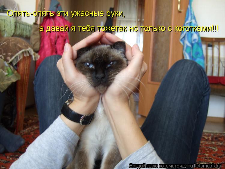Опять-опять эти ужасные руки, а давай я тебя тожетак но только с коготками!!!... Котоматрица: Опять-опять эти ужасные руки, а давай я тебя тожетак но только с коготками!!!