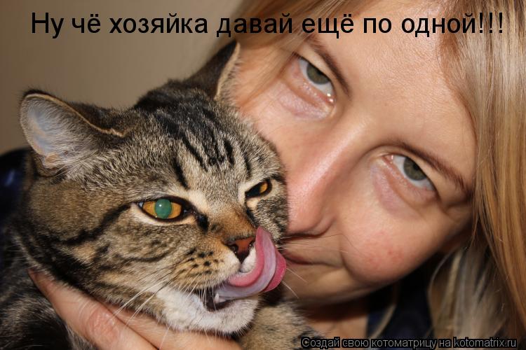 Ну чё хозяйка давай ещё по одной!!!... Котоматрица: Ну чё хозяйка давай ещё по одной!!!