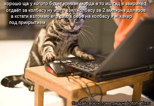 хорошо ща у когото будет кривая морда а то иш гад в звиринец отдаёт за колбасу ну ишто взял колбасу ... Котоматрица: хорошо ща у когото будет кривая морда а то иш гад в звиринец отдаёт за колбасу ну ишто взял колбасу за 2 милиона доларов а кстати взломаю ег