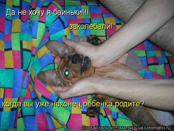 Да не хочу я баиньки!!! когда вы уже,наконец,ребенка родите? заколебали!... Котоматрица: Да не хочу я баиньки!!! когда вы уже,наконец,ребенка родите? заколебали!