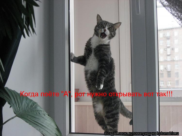 Когда поёте "А", рот нужно открывать вот так!!!... Котоматрица: Когда поёте "А", рот нужно открывать вот так!!!