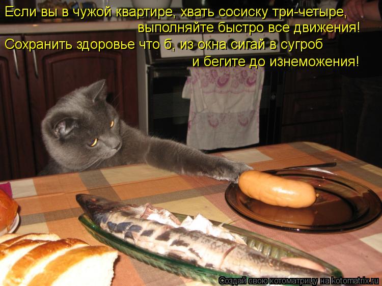 Если вы в чужой квартире, хвать сосиску три-четыре, выполняйте быстро все движения! Сохранить здоров... Котоматрица: Если вы в чужой квартире, хвать сосиску три-четыре, выполняйте быстро все движения! Сохранить здоровье что б, из окна сигай в сугроб и бегит