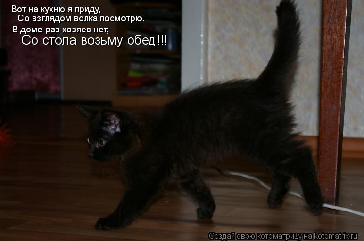 Вот на кухню я приду, Со взглядом волка посмотрю. В доме раз хозяев нет, Со стола возьму обед!!!... Котоматрица: Вот на кухню я приду, Со взглядом волка посмотрю. В доме раз хозяев нет, Со стола возьму обед!!!