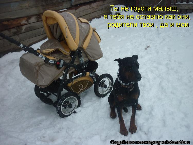 Ты не грусти малыш, я тебя не оставлю как они, родители твои , да и мои.... Котоматрица: Ты не грусти малыш, я тебя не оставлю как они, родители твои , да и мои.