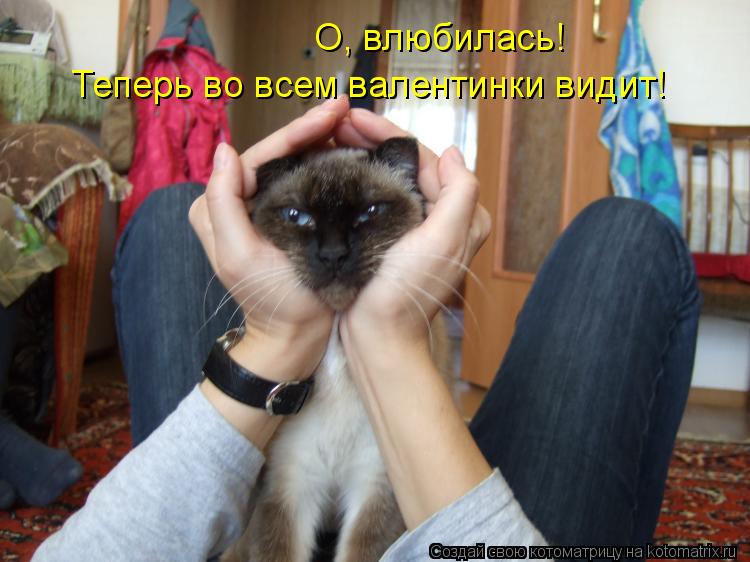 О, влюбилась! Теперь во всем валентинки видит!... Котоматрица: О, влюбилась! Теперь во всем валентинки видит!