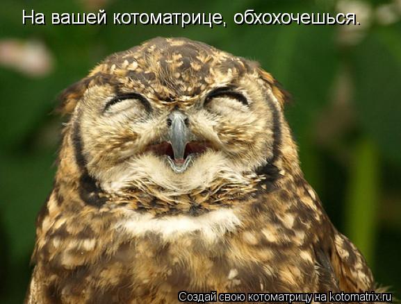 На вашей котоматрице, обхохочешься. На вашей котоматрице, обхохочешься.... Котоматрица: На вашей котоматрице, обхохочешься. На вашей котоматрице, обхохочешься.