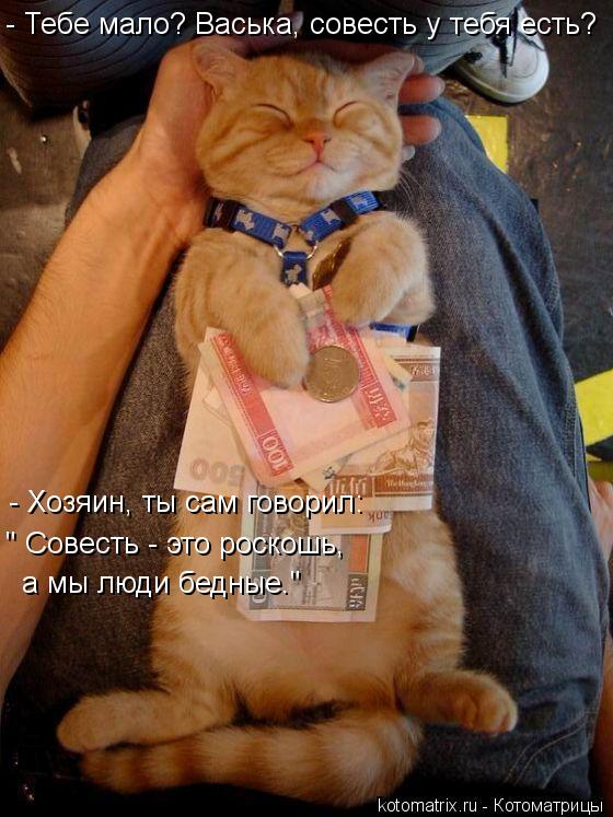 - Хозяин, ты сам говорил: " Совесть - это роскошь, а мы люди бедные." - Тебе мало? Васька, совесть у... Котоматрица: - Хозяин, ты сам говорил: " Совесть - это роскошь, а мы люди бедные." - Тебе мало? Васька, совесть у тебя есть?
