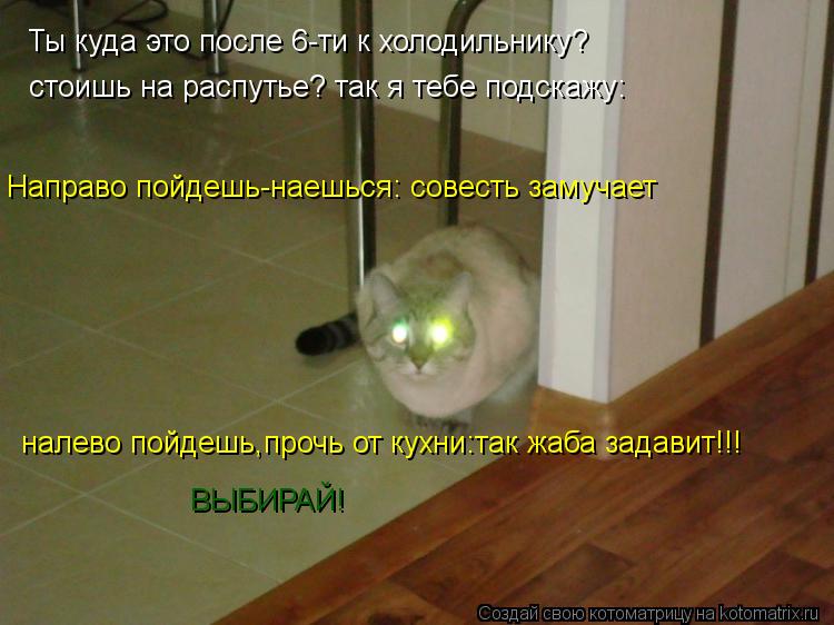 Ты куда это после 6-ти к холодильнику? Направо пойдешь-наешься: совесть замучает стоишь на распутье? ... Котоматрица: Ты куда это после 6-ти к холодильнику? Направо пойдешь-наешься: совесть замучает стоишь на распутье? так я тебе подскажу: налево пойдешь,проч