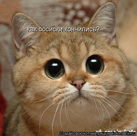 как сосиски кончились?... Котоматрица: как сосиски кончились?