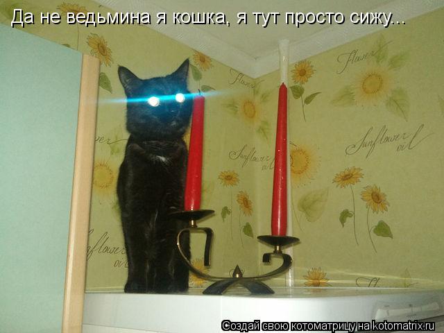Да не ведьмина я кошка, я тут просто сижу...... Котоматрица: Да не ведьмина я кошка, я тут просто сижу...