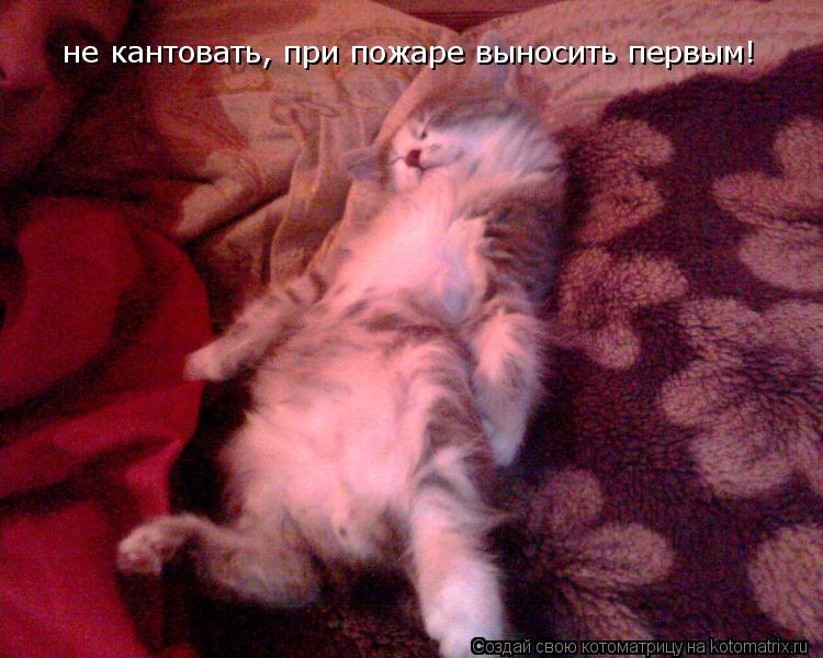 не кантовать, при пожаре выносить первым!... Котоматрица: не кантовать, при пожаре выносить первым!