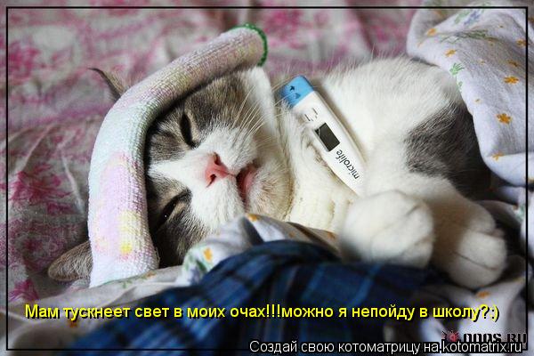 Мам тускнеет свет в моих очах!!!можно я непойду в школу?:) Мам тускнеет свет в моих очах!!!можно я не... Котоматрица: Мам тускнеет свет в моих очах!!!можно я непойду в школу?:) Мам тускнеет свет в моих очах!!!можно я непойду в школу?:)