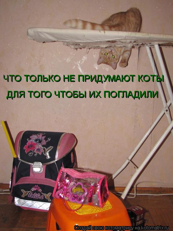 ЧТО ТОЛЬКО НЕ ПРИДУМАЮТ КОТЫ ДЛЯ ТОГО ЧТОБЫ ИХ ПОГЛАДИЛИ... Котоматрица: ЧТО ТОЛЬКО НЕ ПРИДУМАЮТ КОТЫ ДЛЯ ТОГО ЧТОБЫ ИХ ПОГЛАДИЛИ