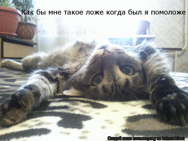 Как бы мне такое ложе когда был я помоложе... Котоматрица: Как бы мне такое ложе когда был я помоложе