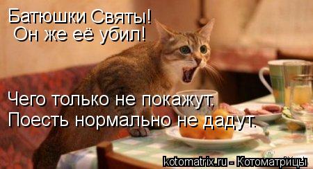 Батюшки Святы! Он же её убил! Чего только не покажут. Поесть нормально не дадут.... Котоматрица: Батюшки Святы! Он же её убил! Чего только не покажут. Поесть нормально не дадут.