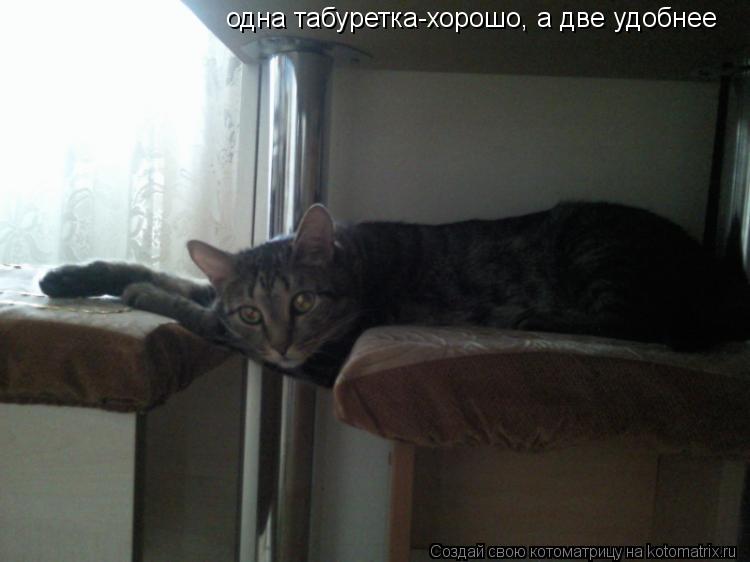 одна табуретка-хорошо, а две удобнее... Котоматрица: одна табуретка-хорошо, а две удобнее