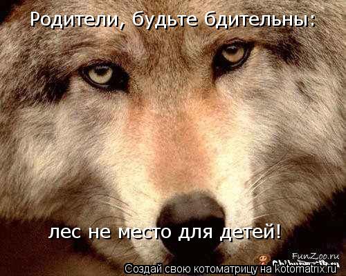 Родители, будьте бдительны: лес не место для детей!... Котоматрица: Родители, будьте бдительны: лес не место для детей!