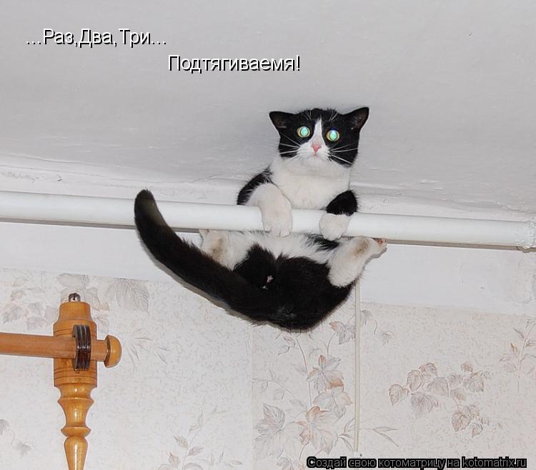 ...Раз,Два,Три... Подтягиваемя!... Котоматрица: ...Раз,Два,Три... Подтягиваемя!