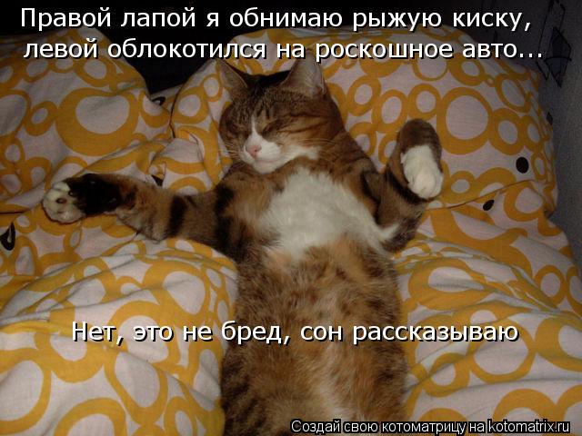 Правой лапой я обнимаю рыжую киску, левой облокотился на роскошное авто... Нет, это не бред, сон расс... Котоматрица: Правой лапой я обнимаю рыжую киску, левой облокотился на роскошное авто... Нет, это не бред, сон рассказываю